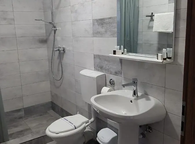 ゲストハウス La Matache エフォリエ・ノルド